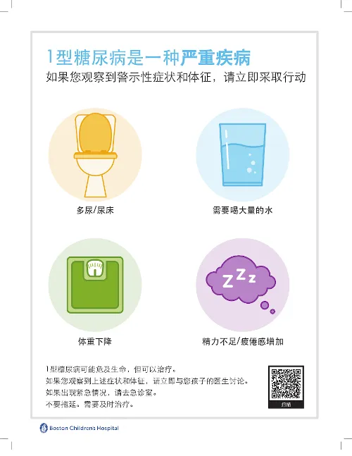 Type 1 diabetes fact sheet in Simplified Chinese
