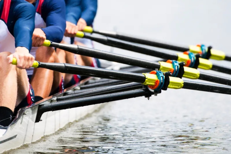 Rowers move oars in water
